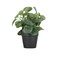 Mini Fake Plants Set of 3 - Small Lifelike Artificial Potted Plants in Ceramic Pots for Home, Office Desk, Bathroom Shelf, Farmhouse Decor